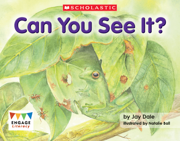 Can You See It