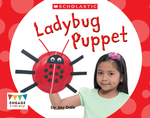 Ladybug Puppet