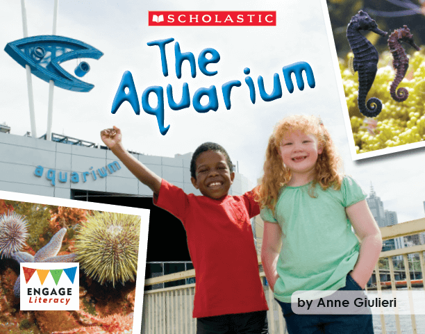 The Aquarium