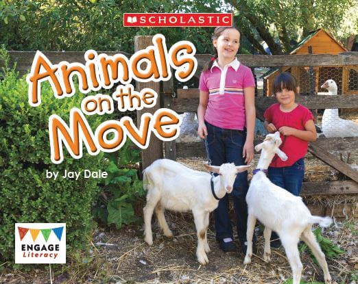 Animal on the Move