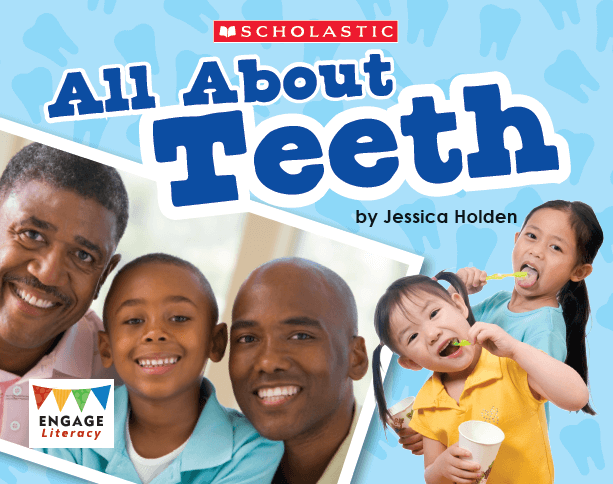 All About Teeth