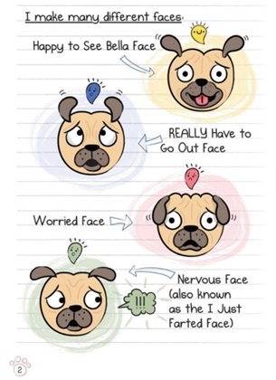 9781338530063 Diary of a Pug #2-2